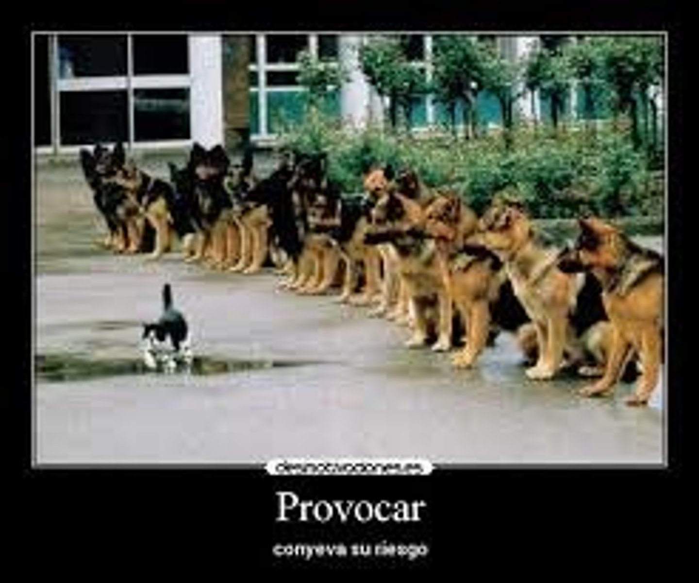 <p>to provoke</p>