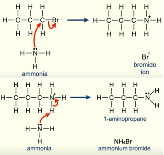 <p>1lp on N in aminoalkane</p>
