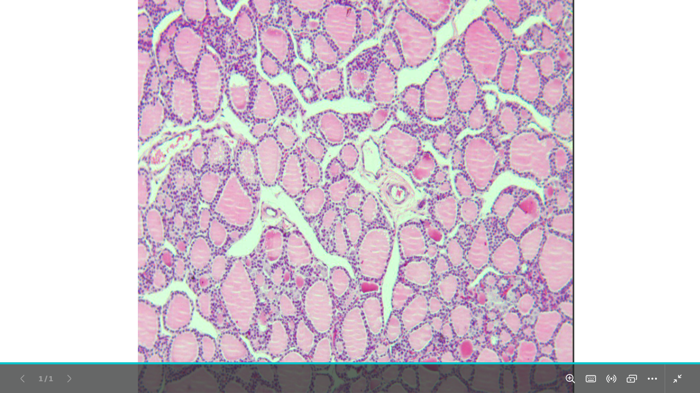 <p>identify </p><p>mention one site</p>