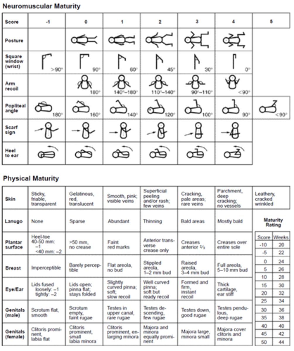 <p>1) Can perform tissue penetration for evaluation neuro performance</p><p>2) Must have authorization from MD/surgeon</p><p>3) PT must be certified by the board</p><p>4) PT CANNOT develop or make diagnostic or prognostic interpretations of data obtained (violation of the Medical Practice Act)</p>