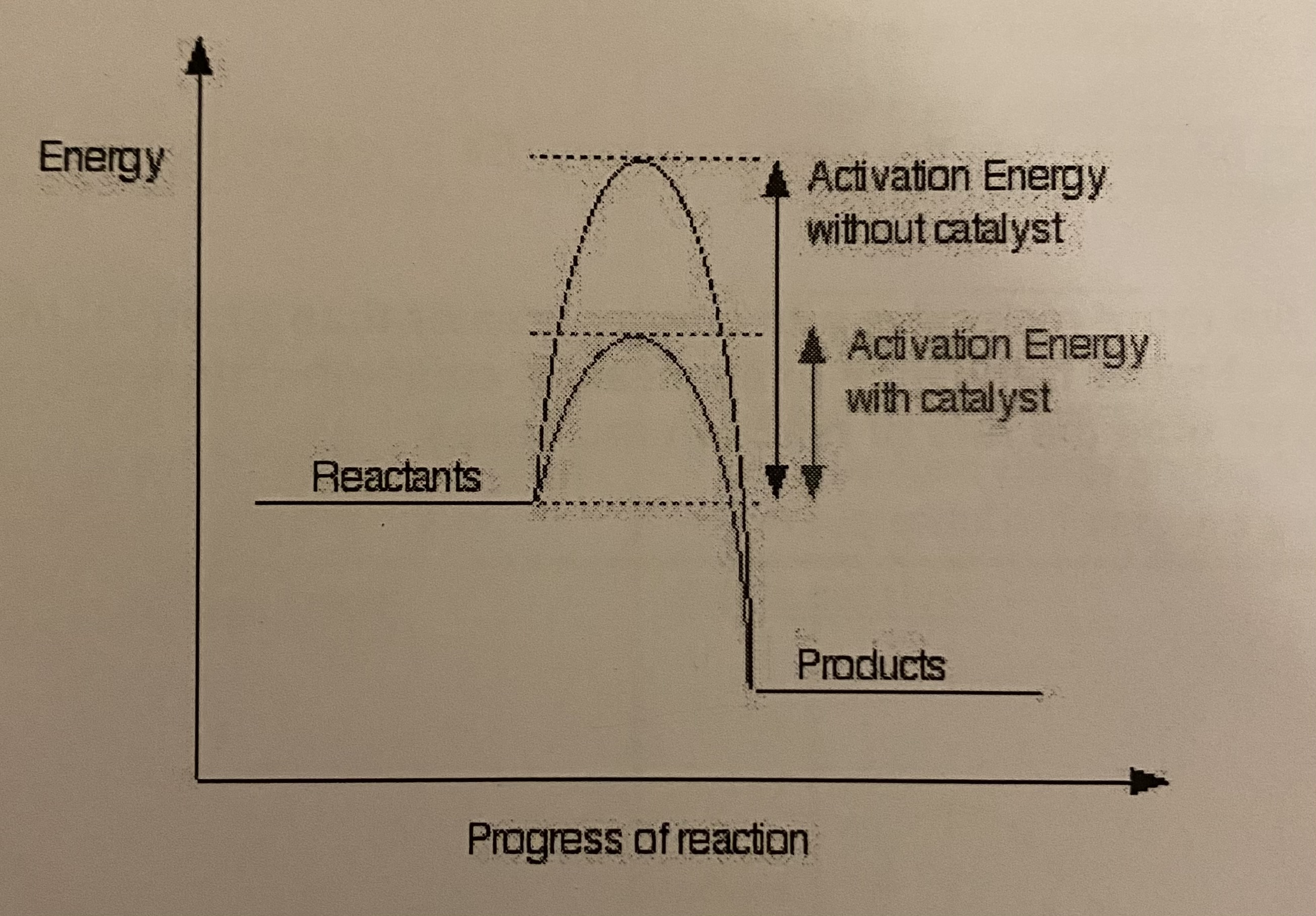 <ul><li><p>it has no effect on the overall enthalpy change, therefore △H is unchanged </p></li><li><p>activation energy, Ea, is lowered if a catalyst is used </p></li></ul>
