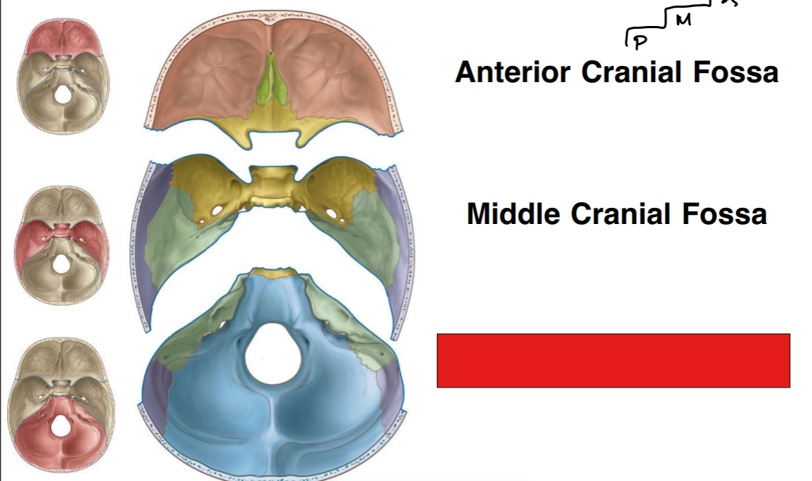 <p>fill in the red box:</p>