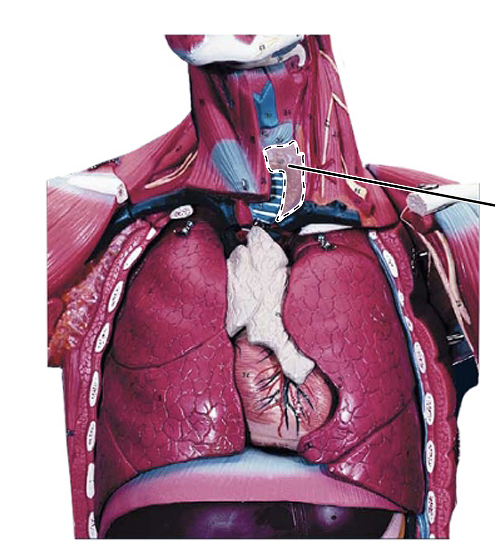 <p>What is this?</p>