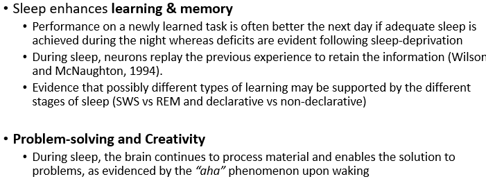 <ul><li><p>sleep enhances learning and memory </p></li><li><p>problem-solving and creativity</p></li></ul>
