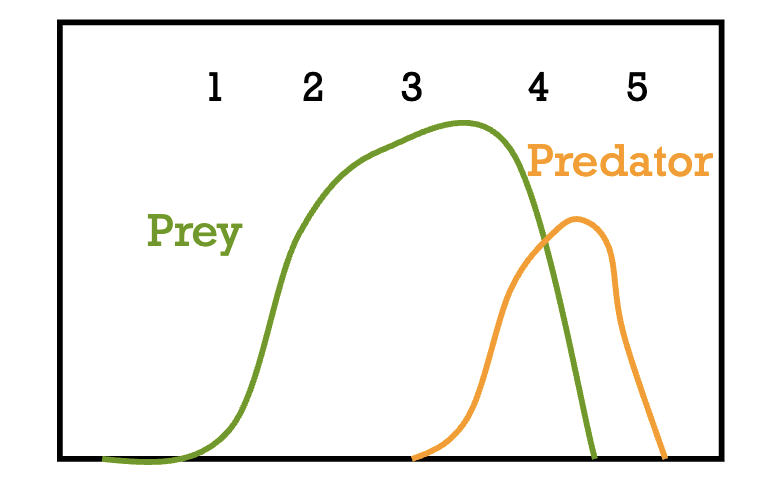 <ol><li><p>Prey colonises an empty island</p></li><li><p>Since there are no predators, the prey quickly grows towards its carrying capacity </p></li><li><p>Not too long later though, some number of predators arrive on the island. Upon the predators’ arrival, they notice that there’s a bunch of prey. </p></li><li><p>The predators then drive the prey to extinction</p></li><li><p>The predators then starve and the island becomes empty again</p></li></ol><p></p>
