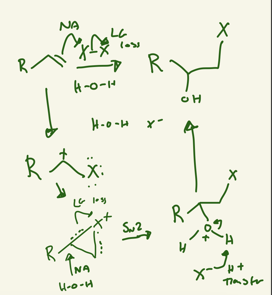 <p>Nu attack on X-X and LG of a X and X is on less substituted carbon and the lone pair of X attack carbon cation and then H2O Nu attack the more substituted carbon then H+ transfer with free X- and leaves OH</p>