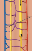 <p>what is this?</p>