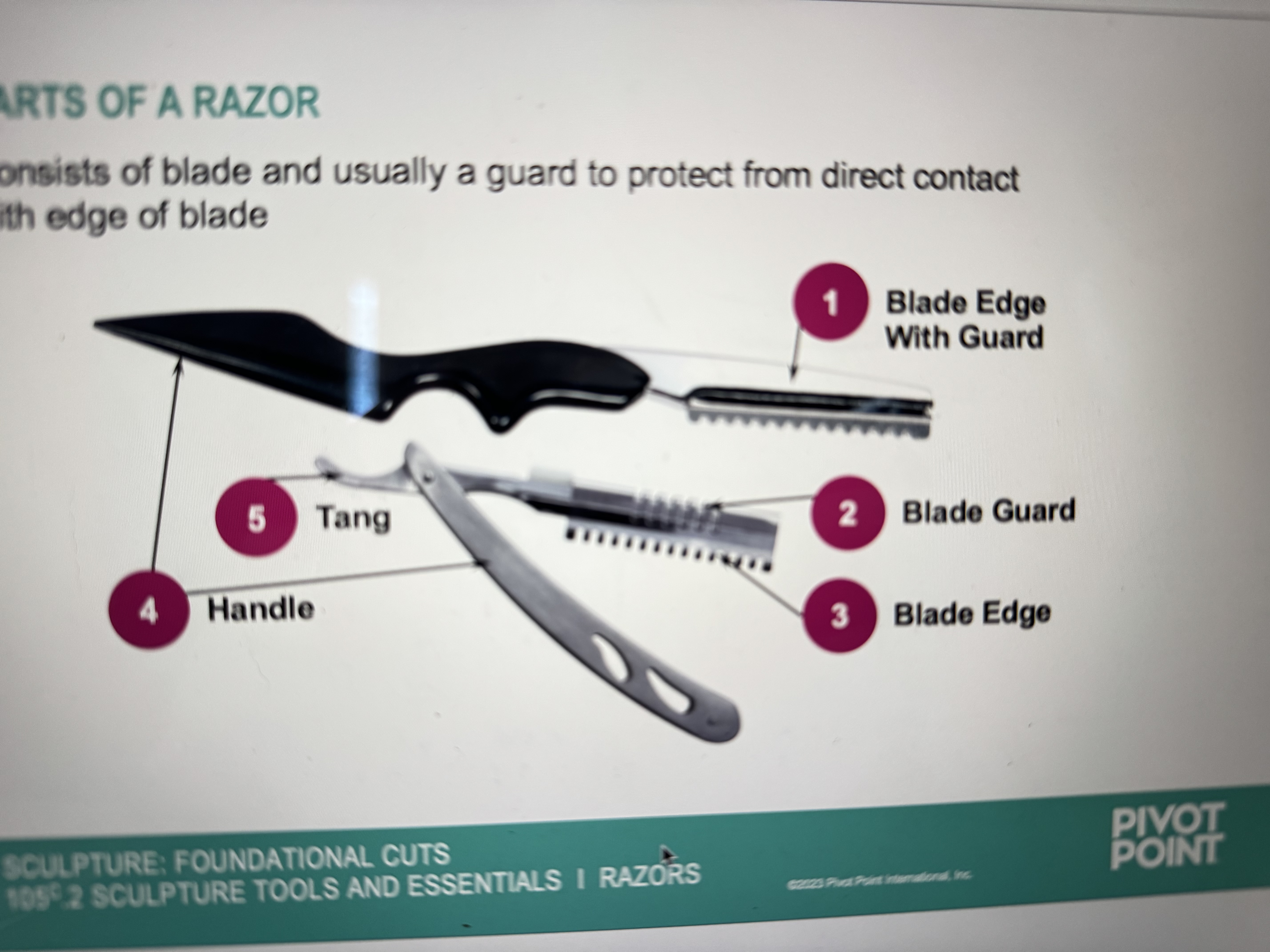 <p>consists of blade and usually a guard to protect from direct contact with edge of blade</p><ul><li><p>thumb grip assists in holding nonfoldabke razor </p></li><li><p>shank assists in holding foldable razor </p></li></ul>