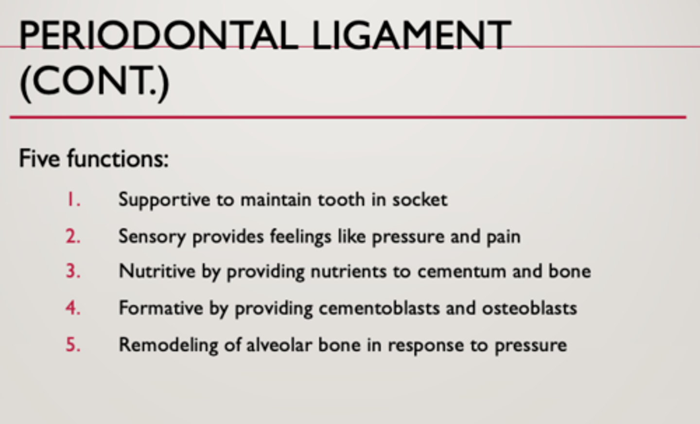 <p>1. Support - suspents and maintains tooth in socket, cushions forces</p><p>2. Sensory - has nerve endings that relay sensory information</p><p>3. Nutritive - has blood vessels that provide oxygen and nutrients to the periodontium</p><p>4. Formative - build and maintain (via cementoblasts) the cementum and may aid in periodontal regeneration</p><p>5. Remodelling - can remodel alveolar bone in response to pressure (via osteoblasts and osteoclasts)</p>