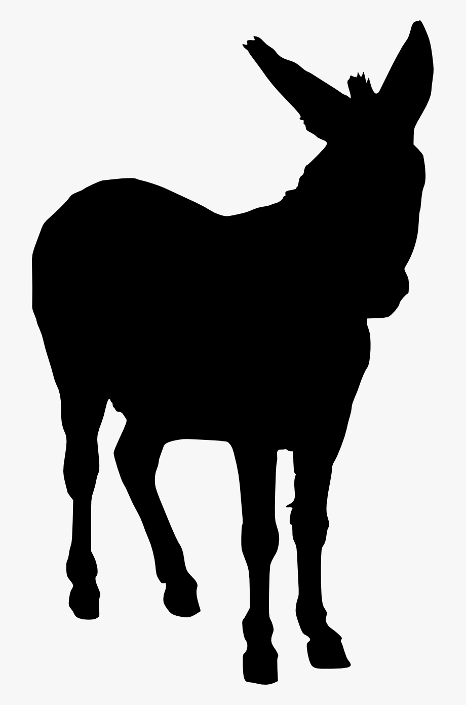 <p>donkey</p>
