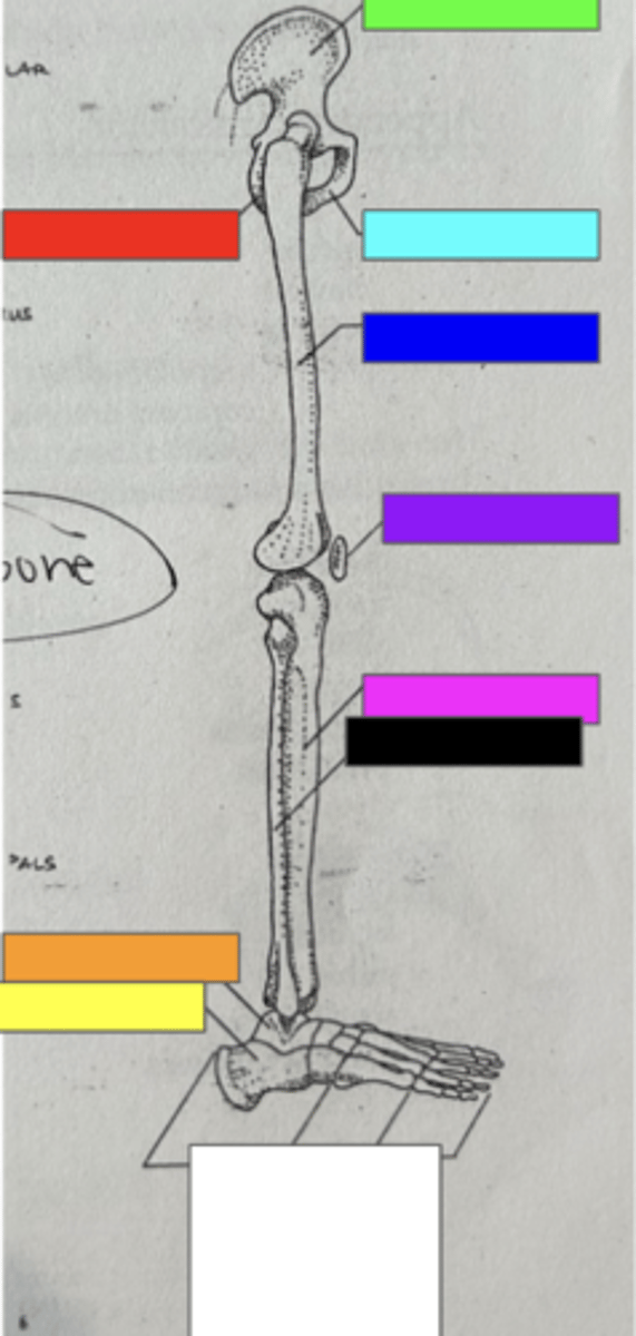 <p>what does the RIGHT black box point to</p>