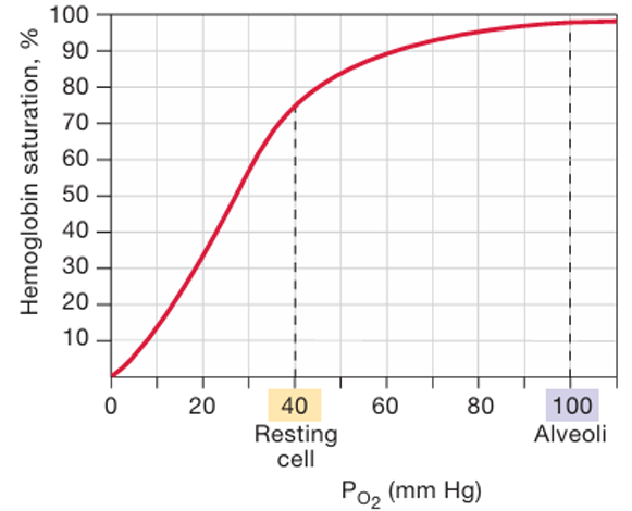 <p>the proper ties of the hemoglobin molecule and its affinity for oxygen</p><ul><li><p>At normal alveolar and arterial PO2 (100 mm Hg), 98% of the hemoglobin is bound to oxygen. The curve is nearly flat </p></li><li><p>at PO2 levels higher than 100 mm Hg., even large changes in PO2 cause only minor changes in percent saturation.</p></li></ul><p></p>