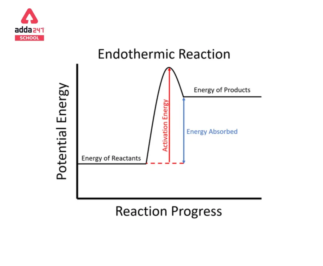 <ul><li><p>gain energy</p></li><li><p>bond breaking</p></li><li><p>absorption of heat </p></li></ul><p></p>