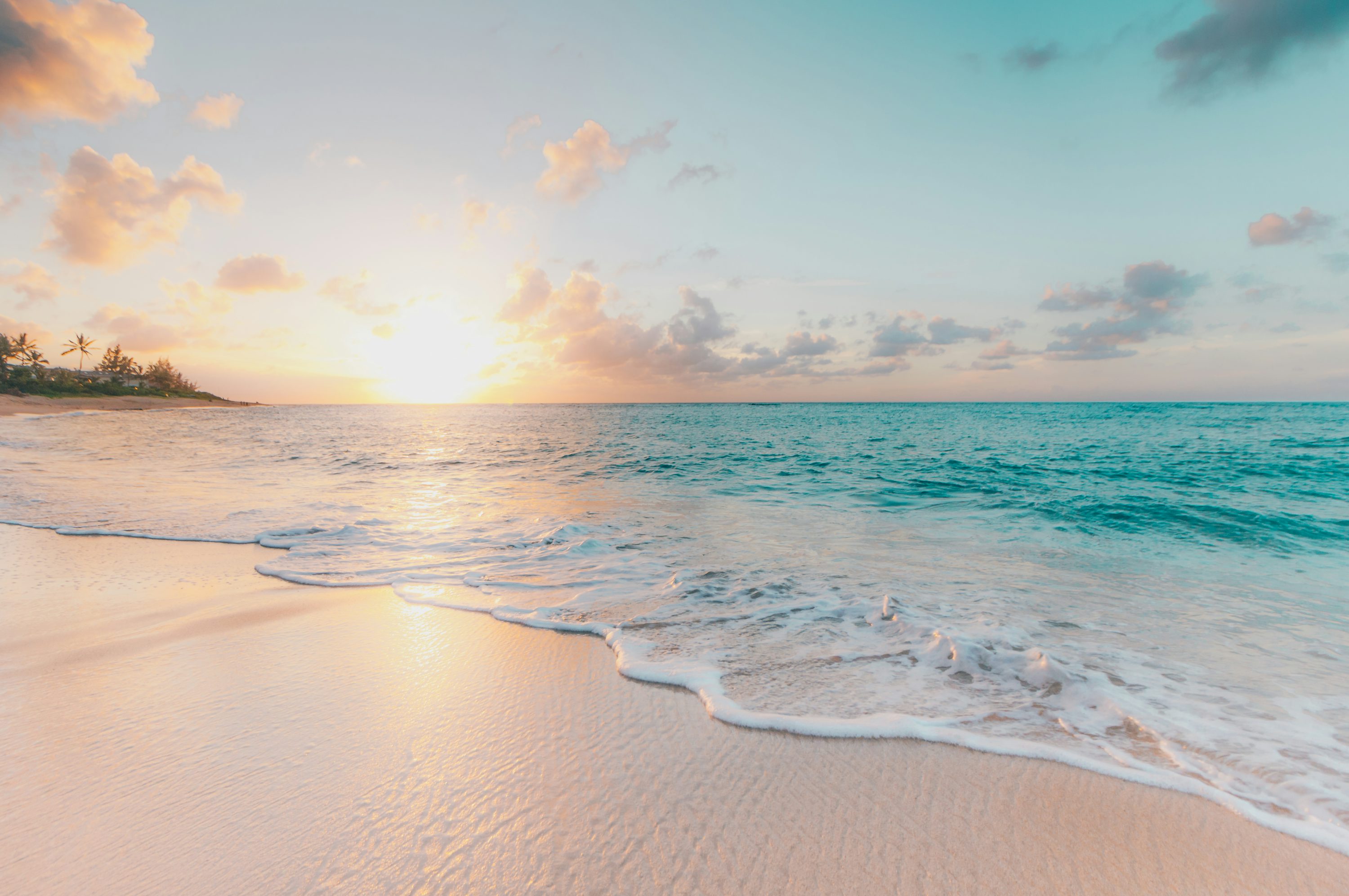 <p><strong>beach</strong></p><p></p><p>/biːtʃ/ Noun</p>