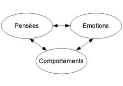 Modèles basés en partie sur les théories de la psychologie cognitive (perception, mémoire, attention…)

Principales hypothèses : 
• Les sujets déprimés présentent une perturba]on dans le traitement de l’information : distorsions du traitement de l’expérience vécue
• Existence d’une structure cognitive dépressive 
• Le traitement de l’info interagit avec les émotions et les 
comportements 

« L’émotion est la voie royale vers la cognition »