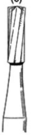 <p>bur type </p>