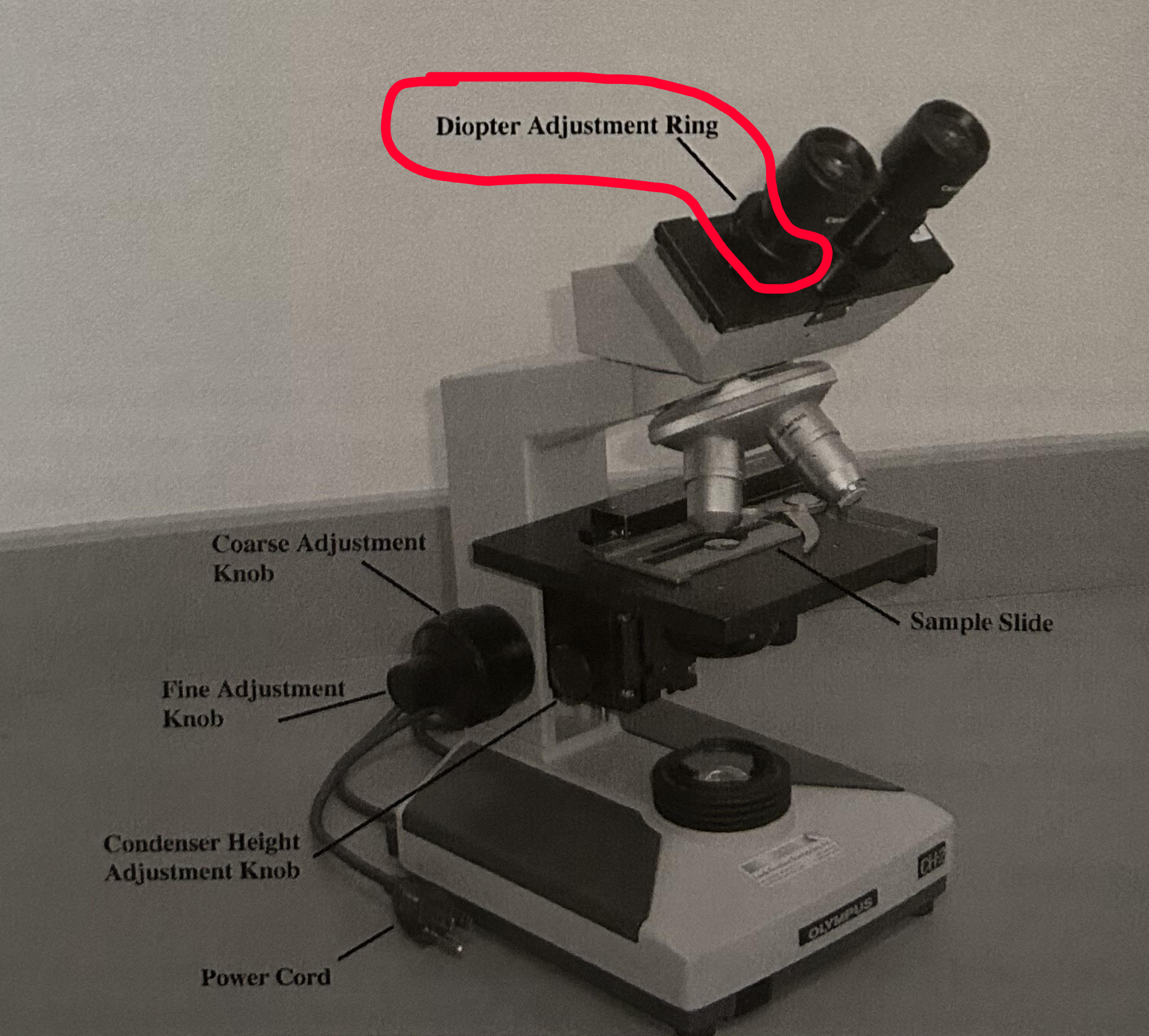 <p>                                  Diopter Adjustment Ring</p>