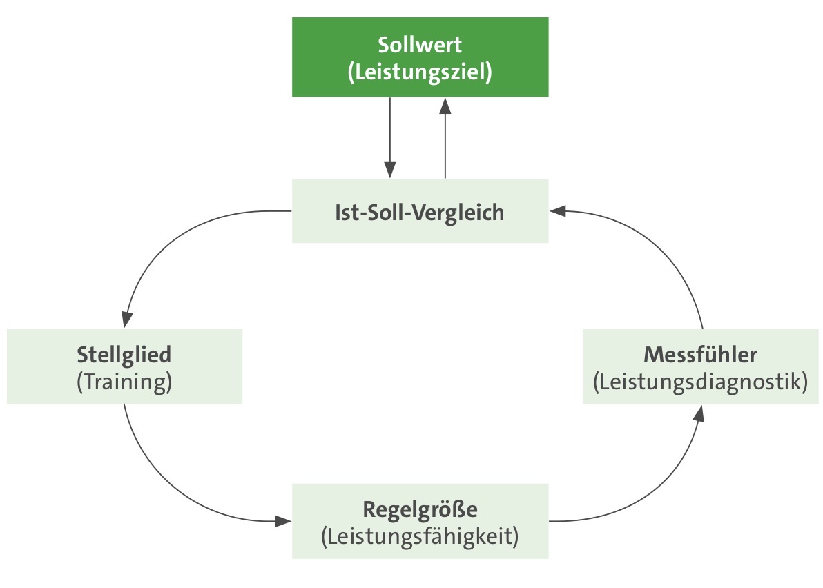 <p>Kybernetische Betrachtungsweise</p>