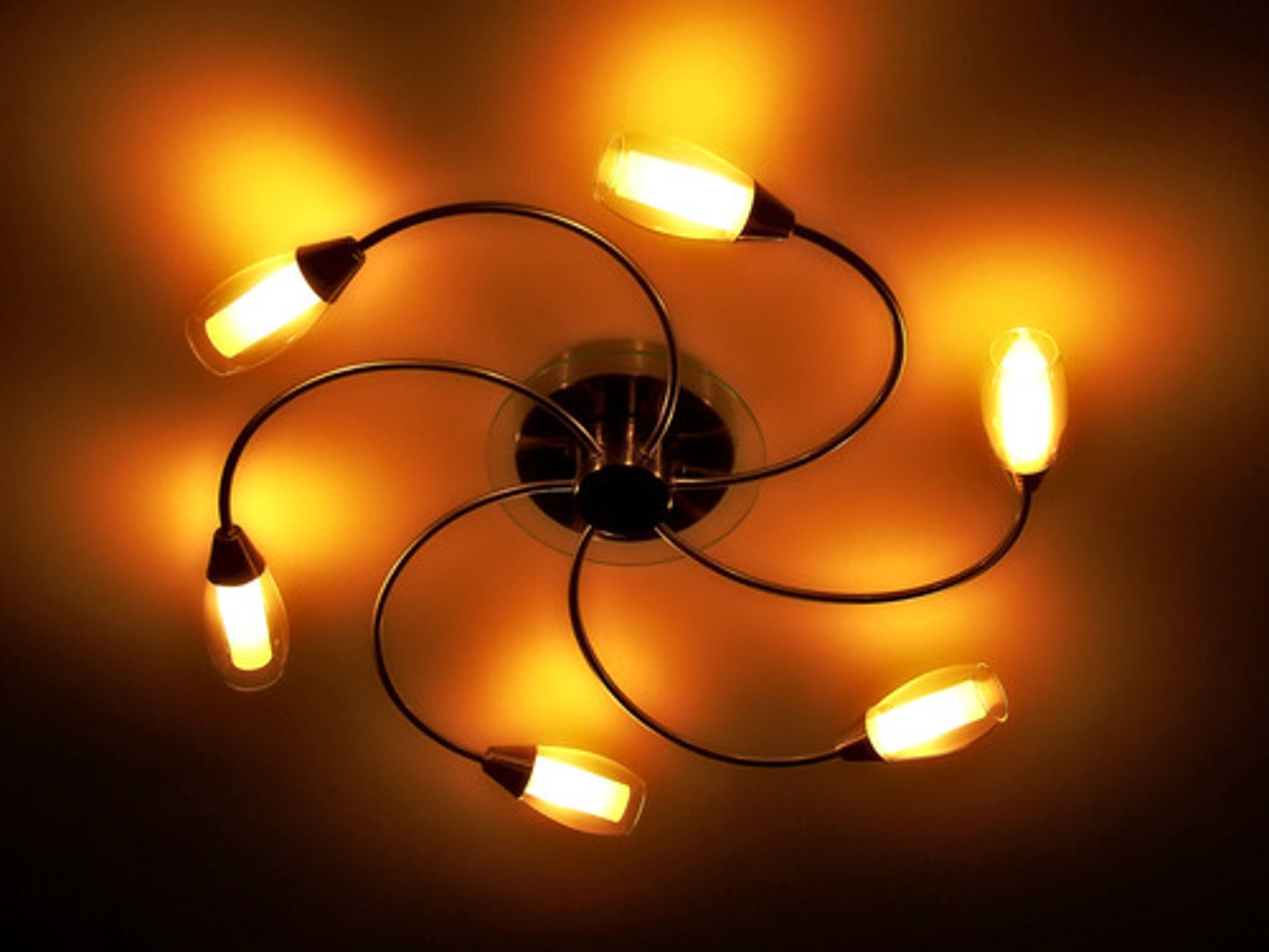 <p>source of light</p>