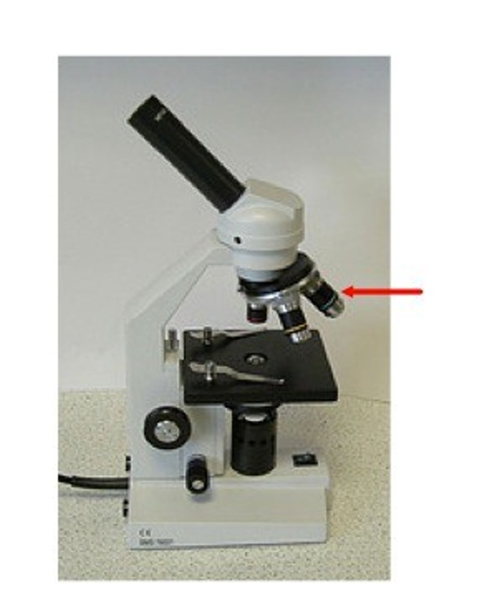 <p>a large lens with high magnifying power.</p>