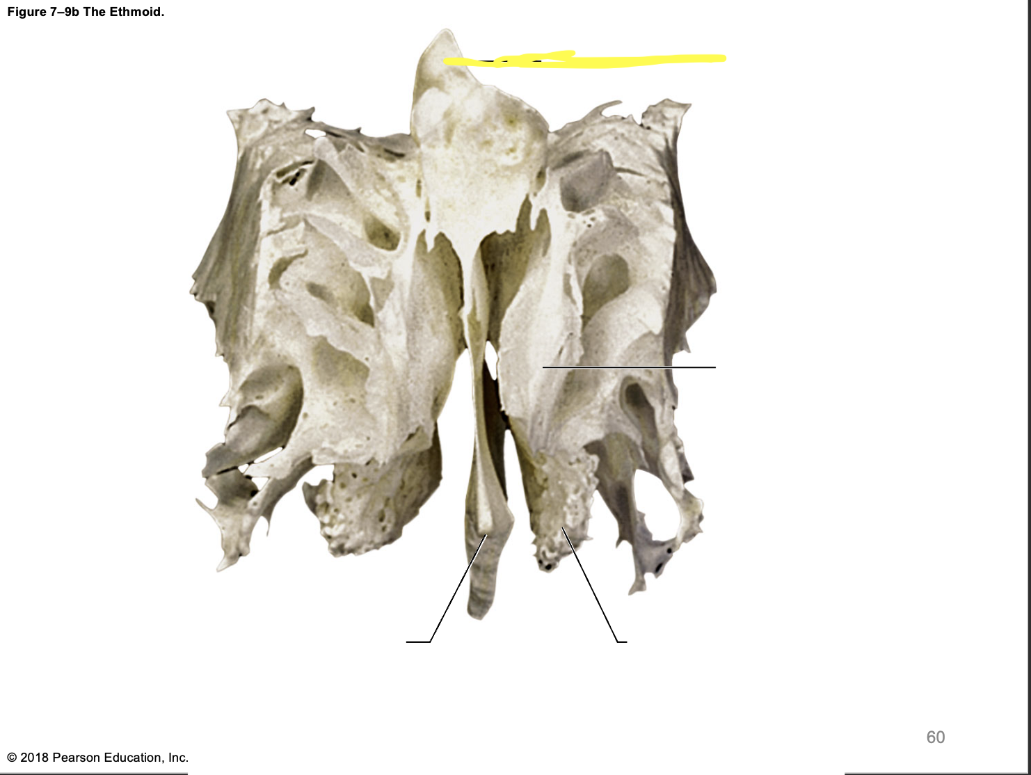 <p><span>What is the structure?</span></p>