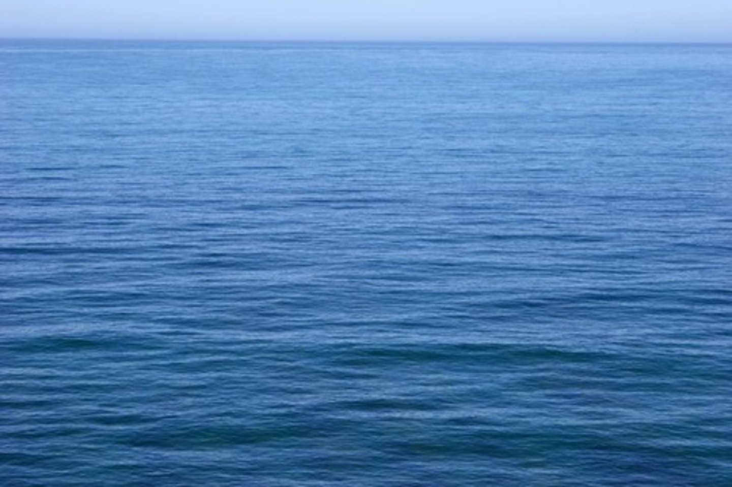 <p>calm</p>