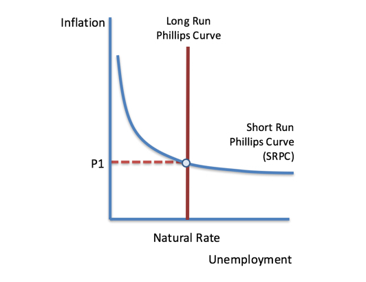 <p>short run phillips curve</p>