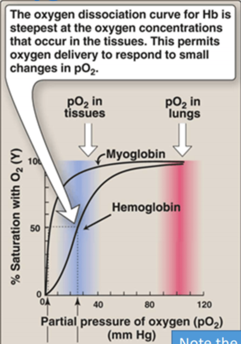 <p>60mm Hg</p>
