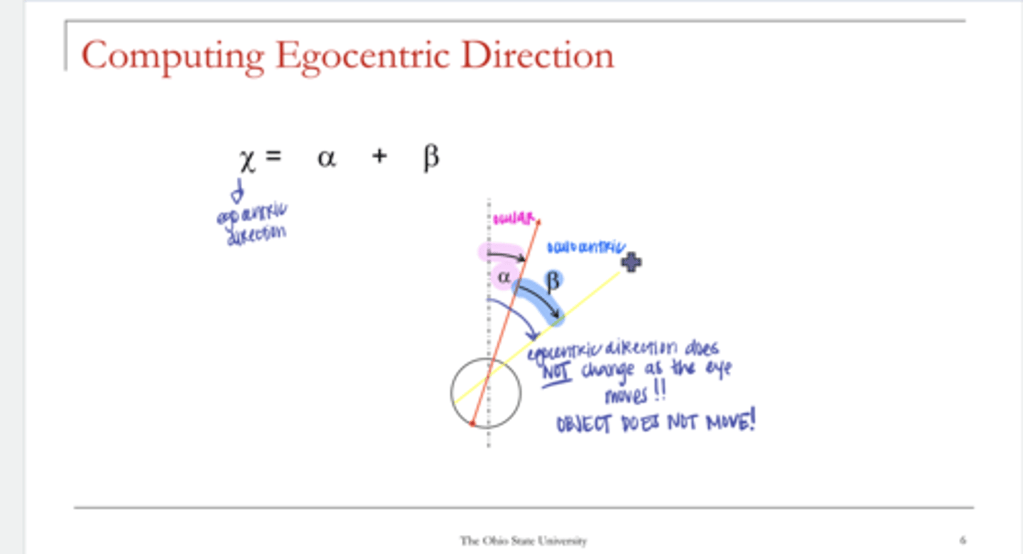 <p>You can compute the Egocentric Direction with what equation?</p>