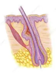 <p>Name the feature</p>