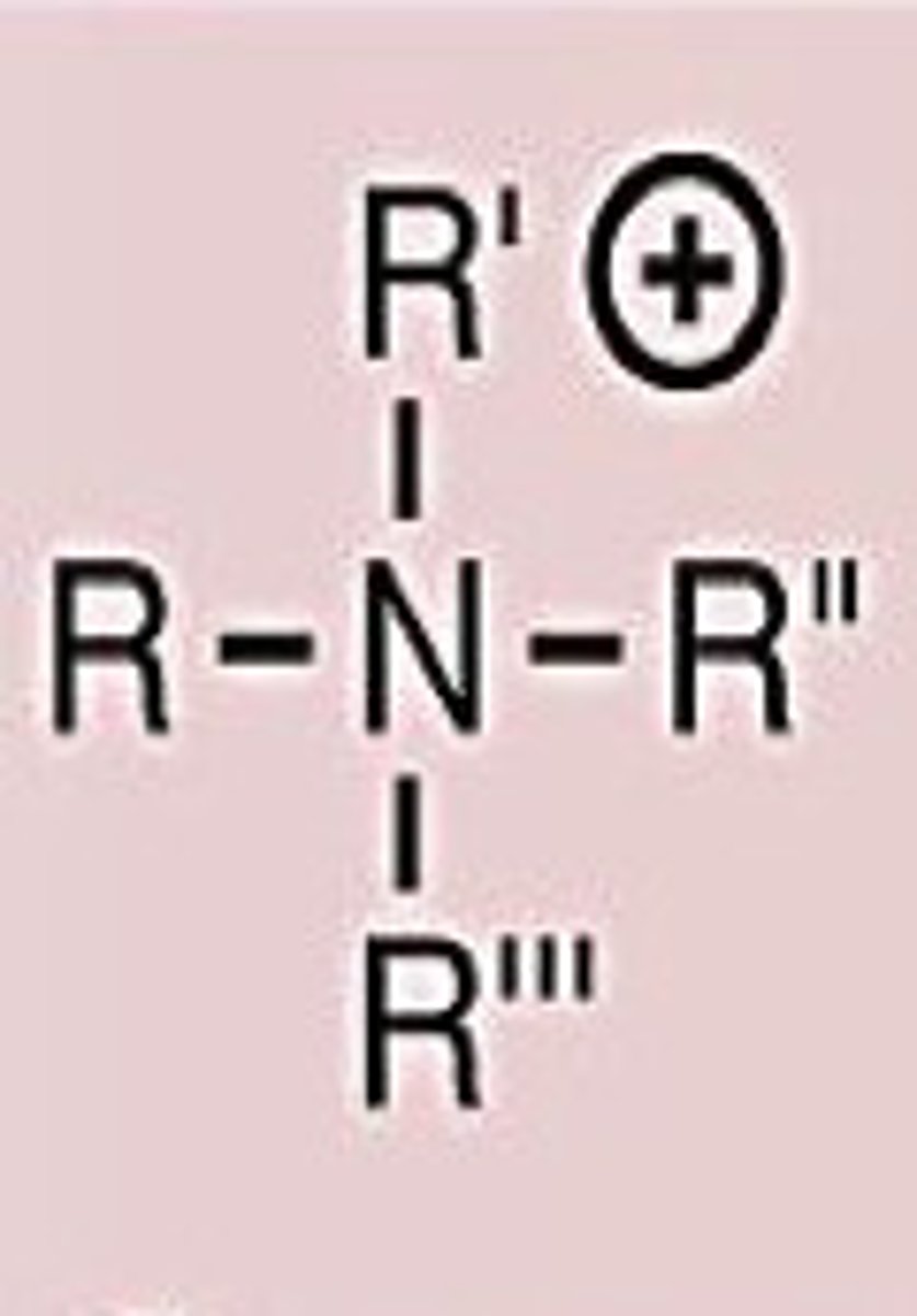 <p>Neutral</p>