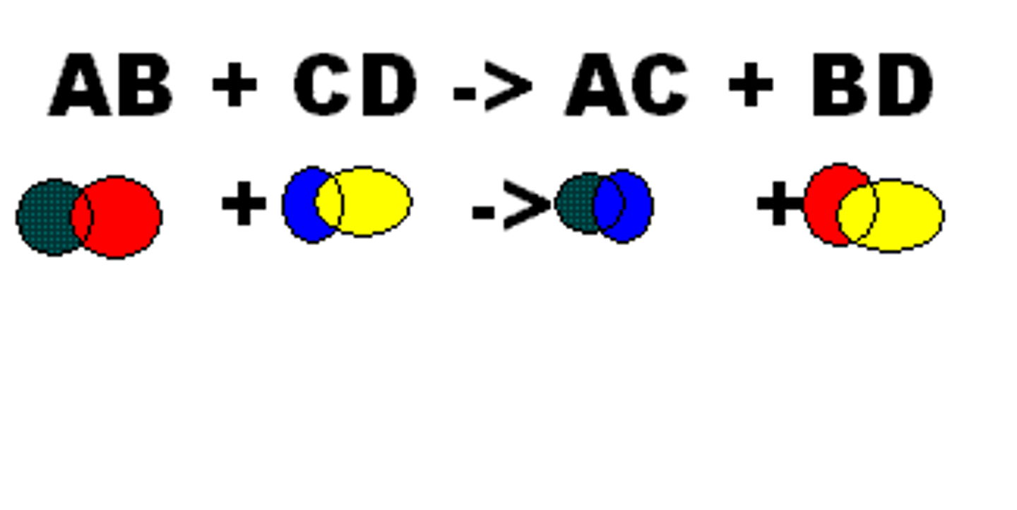 <p>a chemical change involving an exchange of positive ions between two compounds; AB + CD = AC + BD</p>
