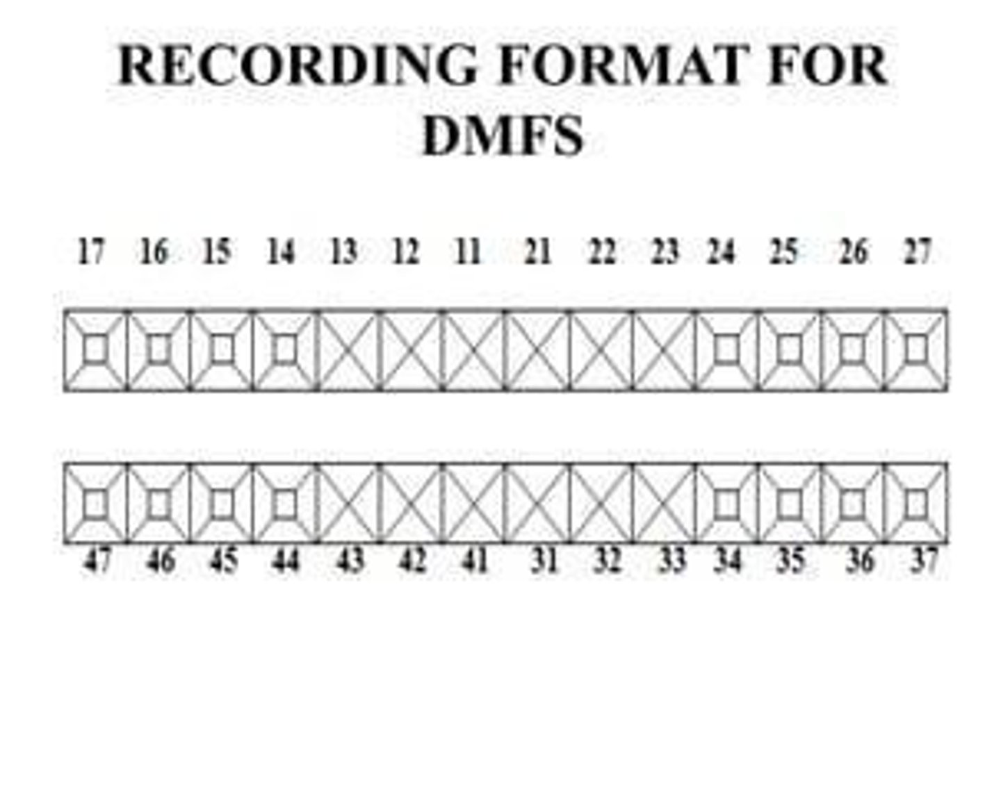 <p>The DMF Index is an irreversible index that looks at a person's entire caries experience, including past and present areas of decay. It only measures coronal caries, not root caries.</p>