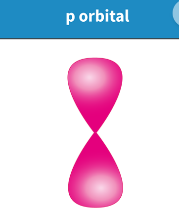<p>Dumb-bell shaped<br></p>