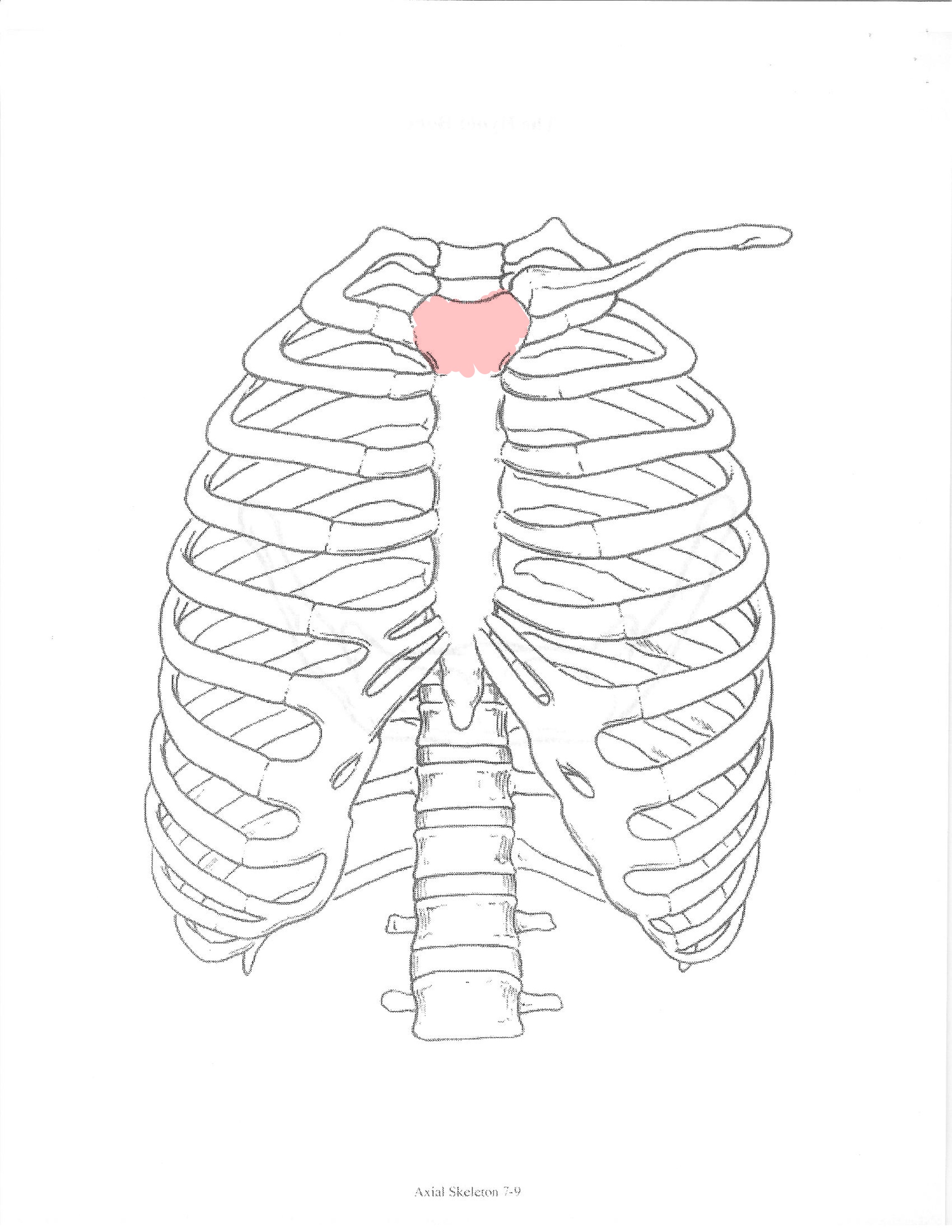 <p>ID feature</p>