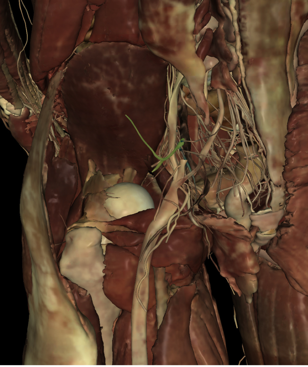 <p>Identify the Structure</p>