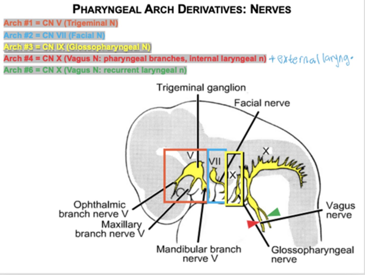 knowt flashcard image