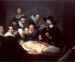 <p><em>The Anatomy Lesson of Dr. Tulip</em></p>