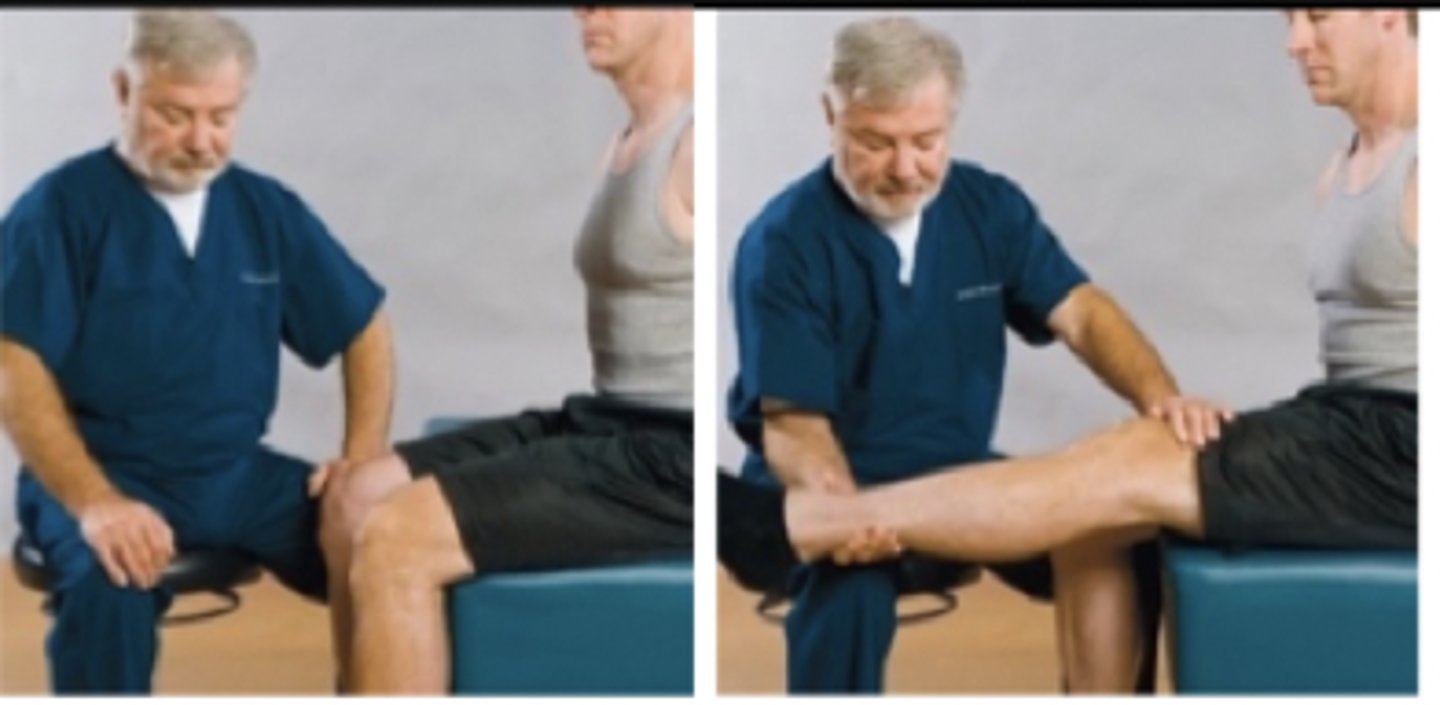 <p>Assessment for:</p><p>- Sciatic nerve</p>