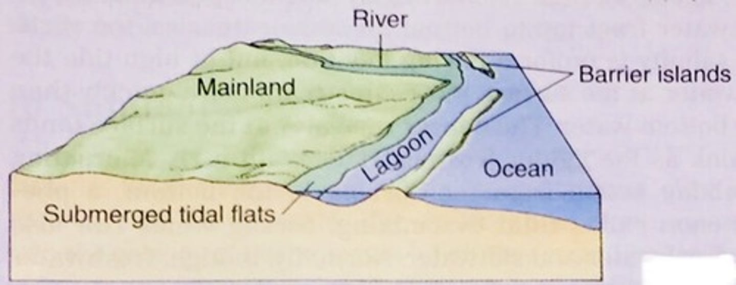 <p>estuary formed when islands or geographical barriers form a wall between freshwater from rivers and saltwater from the ocean</p>