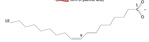 <p>what is the name of this fatty acid</p>