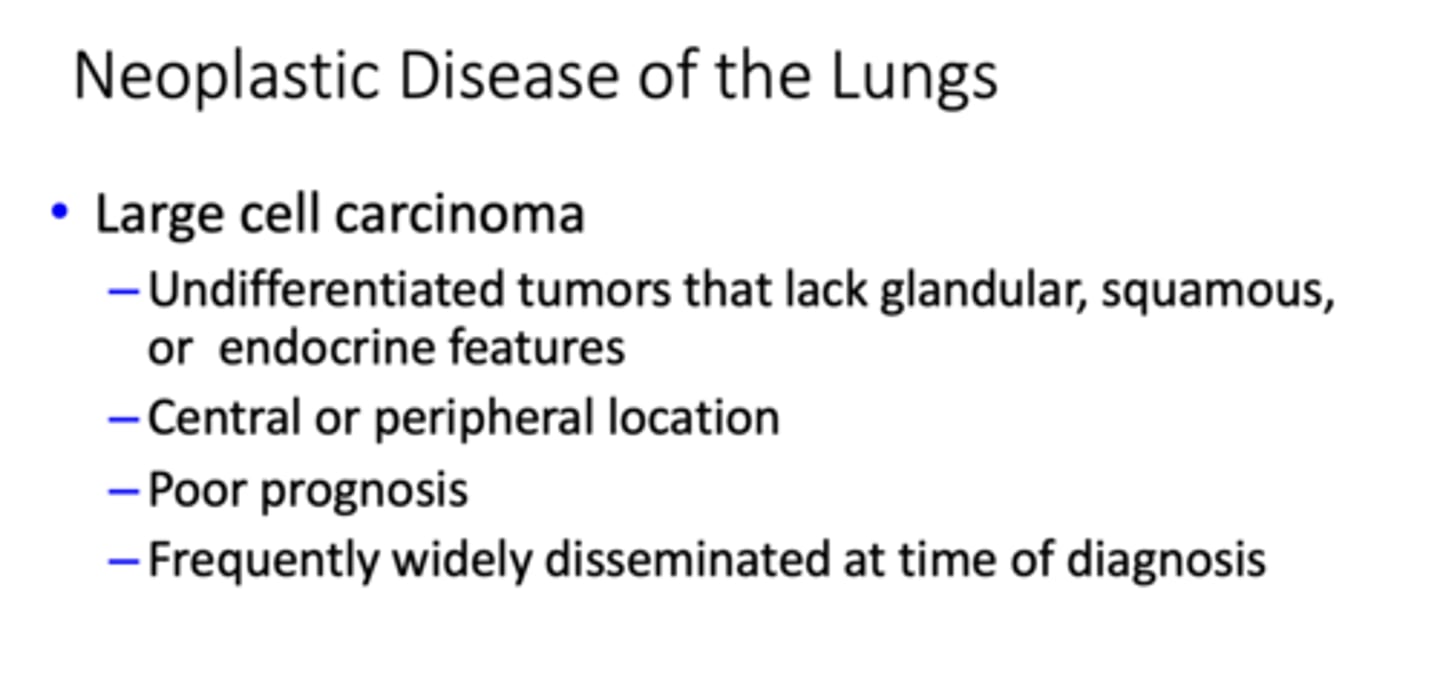 <p>Large cell carcinoma</p>