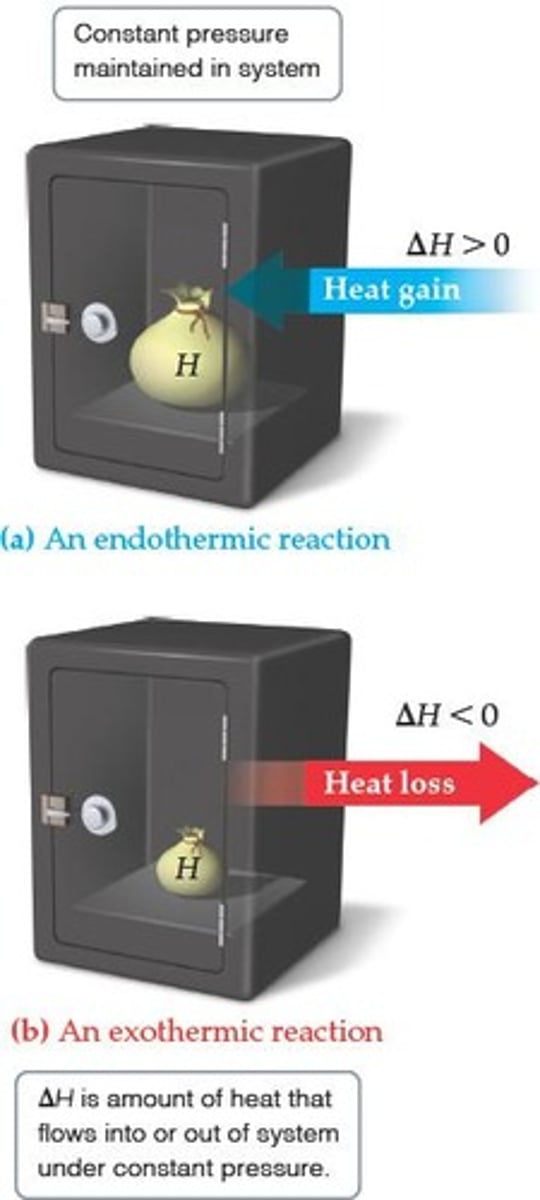 <p>Endothermic processes absorb heat; exothermic processes release heat.</p>