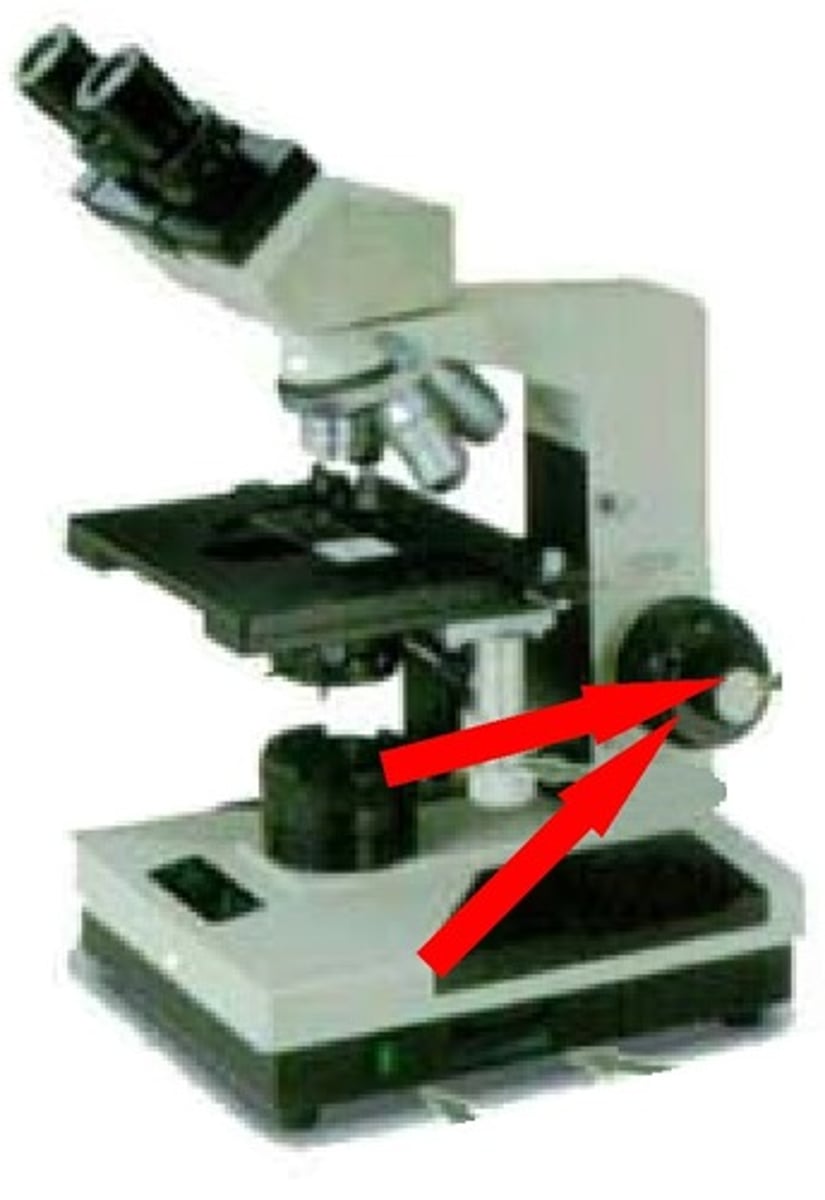 <p>Used to bring the specimen into focus.</p>