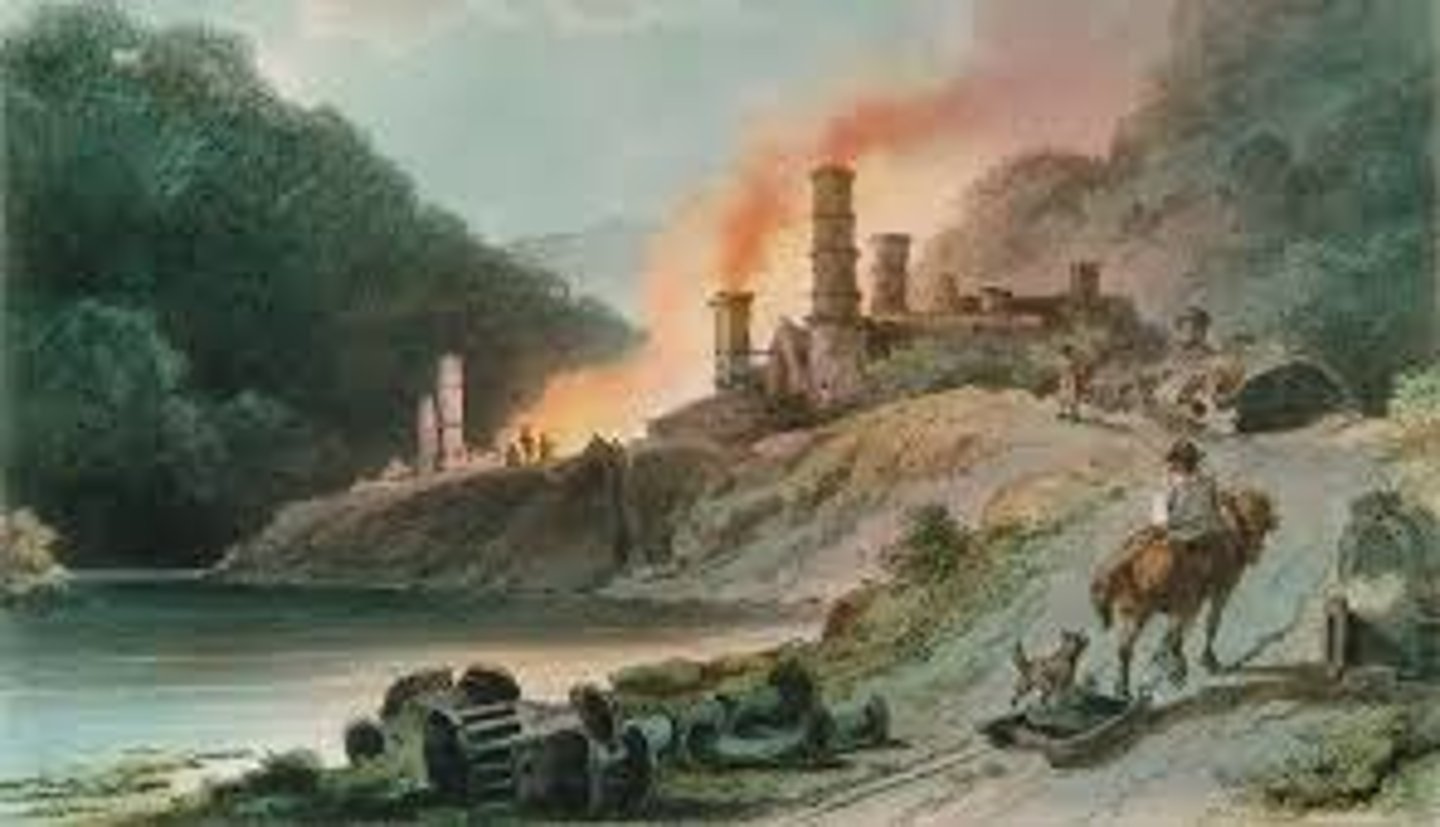 <p>They had adequate, or enough and even extra food.</p><p>Close to water which generated, made, electricity for factories.</p><p>natural Harbors, ports for trading</p><p>Britain had the money, capital for factories.</p><p>Britain had an energy revolution, steam power and coal.</p>
