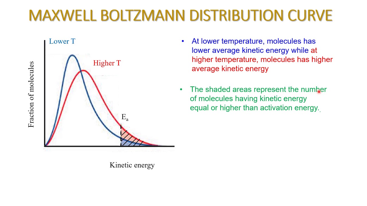 <p><span>A Maxwell-Boltzmann distribution curve describes the probability of finding a molecule with a specific speed or energy in a gas at a given temperature. The curve visually represents how the speeds of gas molecules are distributed, showing that not all molecules have the same speed, but rather they are distributed across a range. </span></p>