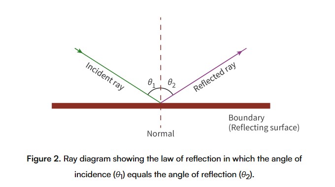 <p><span>the angle between the reflected wave and the normal to the surface</span></p>