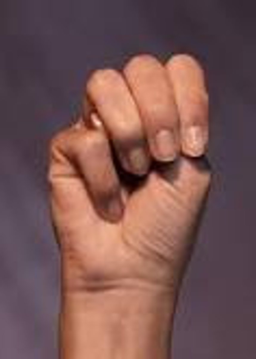 <p>Little finger is folded. Thumb is folded across to touch little finger. Index, middle and ring fingers are folded down over thumb.</p>