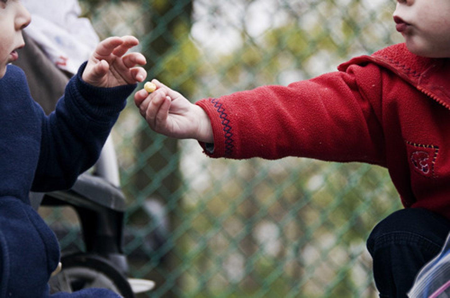 <p>to bring/take things to someone</p>