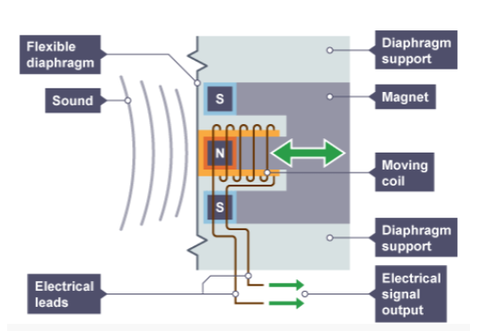 <ul><li><p>Sound waves vibrate the diaphragm.</p></li><li><p>The diaphragm moves the coil.</p></li><li><p>The coil experiences a change in magnetic field.</p></li><li><p>The coil ‘cuts’ through magnetic field lines.</p></li><li><p>This induces a potential difference.</p></li><li><p>If there is a complete circuit, a current is also induced.</p></li></ul><p></p>